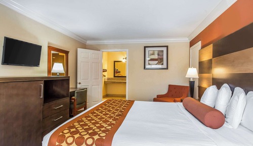 Room, 1 King Bed, Accessible, Non Smoking