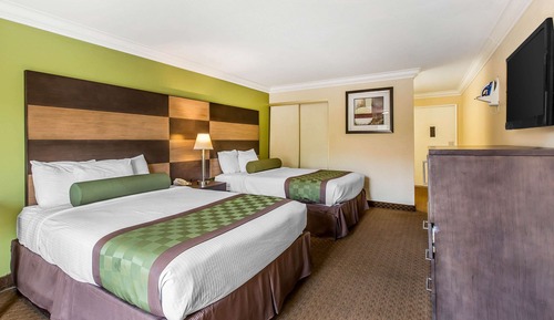 Room, 2 Queen Beds, Accessible, Non Smoking