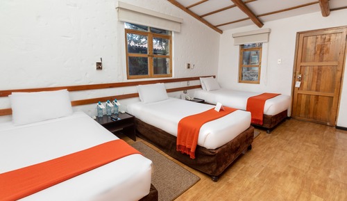 Traditional Room, 3 Twin Beds