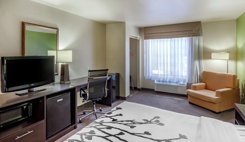 Standard Room, 1 King Bed, Non Smoking
