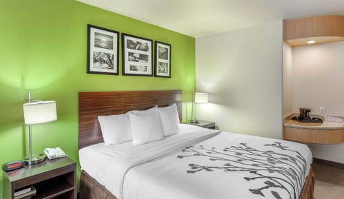 Room, 1 King Bed, Accessible, Non Smoking