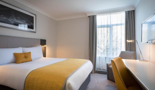 King Room