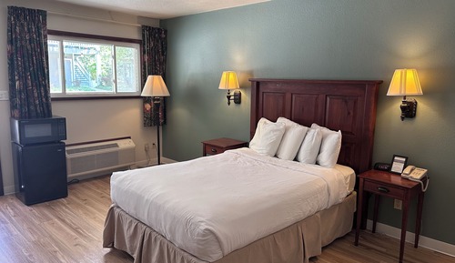 Standard Single Room, 1 Double Bed