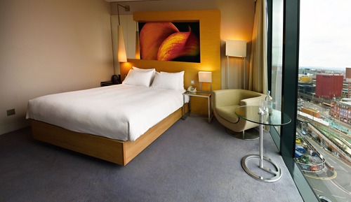 Deluxe Room, 1 Queen Bed, Accessible