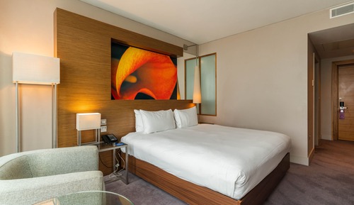 Family Room, 1 Double Bed