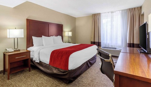 Suite, 1 King Bed with Sofa bed, Non Smoking
