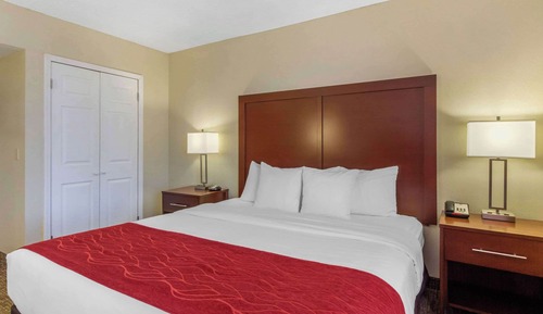 Standard Room, 1 King Bed, Non Smoking