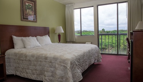 Comfort Double Room, Ensuite (King LV)