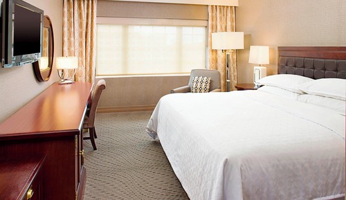 Room, 1 King Bed (Mobility Accessible, Roll-In Shower)