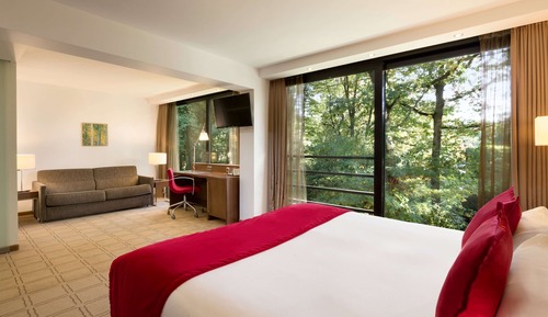 Executive Room (with Sofabed)