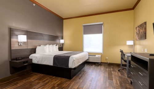 Standard Room, 1 King Bed, Non Smoking, Refrigerator & Microwave