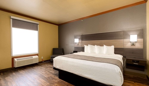 Suite, 1 King Bed with Sofa bed, Accessible, Non Smoking (with Sofabed)
