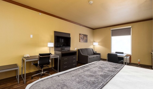 Standard Room, 1 King Bed, Non Smoking, Kitchenette