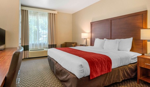 Room, 1 King Bed, Accessible, Non Smoking