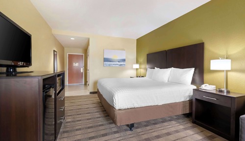 Standard Room, 1 King Bed, Accessible, Non Smoking (with Sofabed)