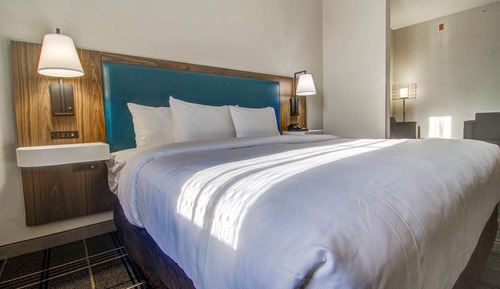 Room, 1 King Bed, Non Smoking
