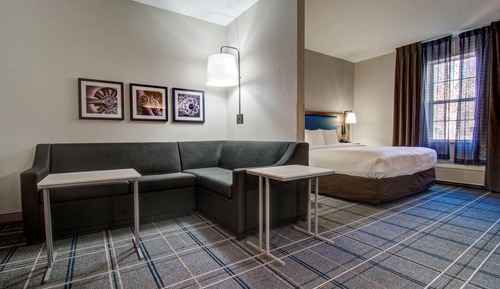 Suite, 1 King Bed with Sofa bed, Accessible, Non Smoking