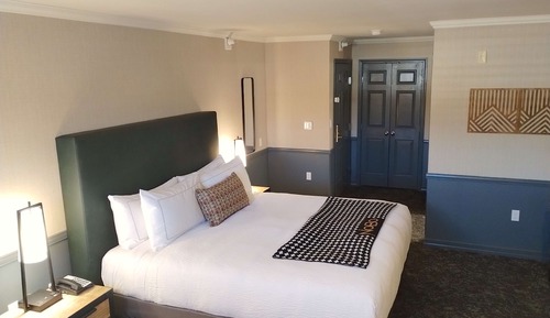 Room, 1 King Bed
