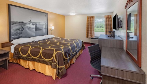 Room, 1 King Bed, Non Smoking