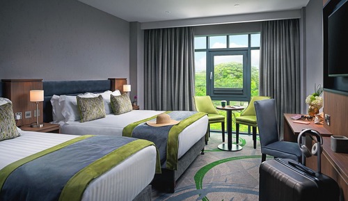 Premium Double & Single Room