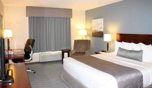 Standard Room, 1 King Bed, Non Smoking, Microwave (with Sofabed)