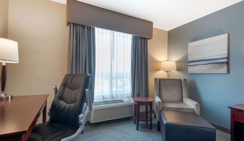 Suite, 1 King Bed, Non Smoking, Refrigerator & Microwave (with Sofabed)