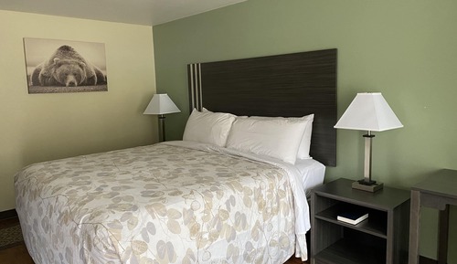 Standard Single Room, 1 King Bed