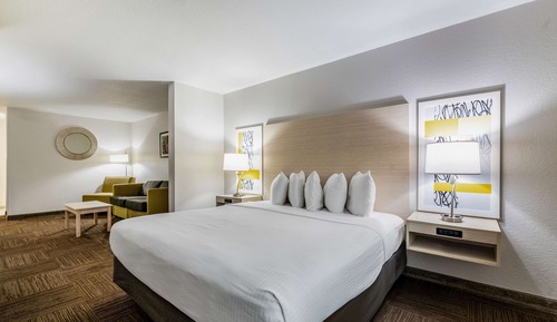 Suite, 1 King Bed, Non Smoking (Mini-Suite)