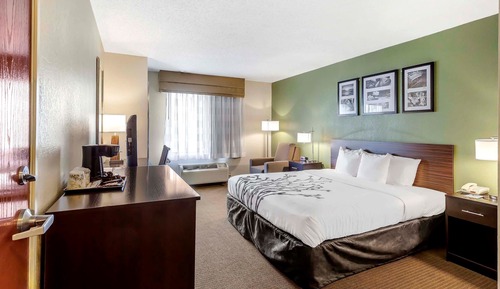 Room, 1 King Bed, Accessible, Smoking