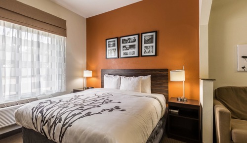 Suite, 1 King Bed with Sofa bed, Accessible, Non Smoking