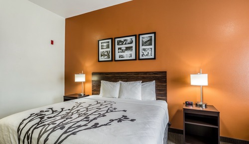 Standard Room, 1 King Bed, Non Smoking