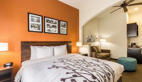 Suite, 1 King Bed with Sofa bed, Non Smoking
