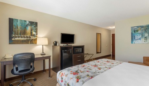Standard Room, 1 King Bed, Accessible, Non Smoking