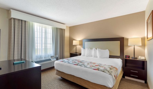 Suite, 1 King Bed with Sofa bed, Accessible, Non Smoking (with Sofabed)