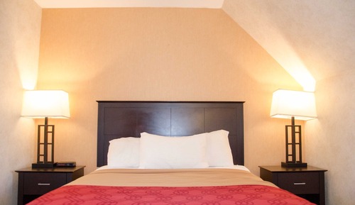 Single Room, 1 Queen Bed