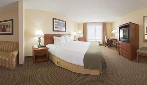 Suite, 1 King Bed with Sofa bed
