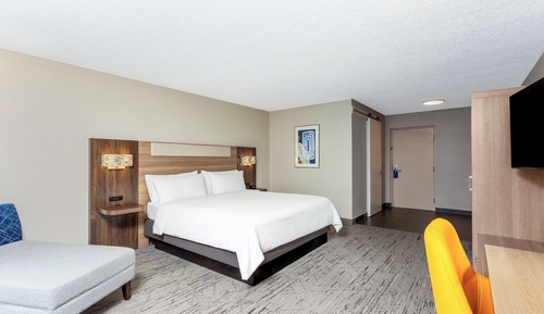 Standard Room, 1 King Bed, Mobility Accessible (Roll-In Shower)