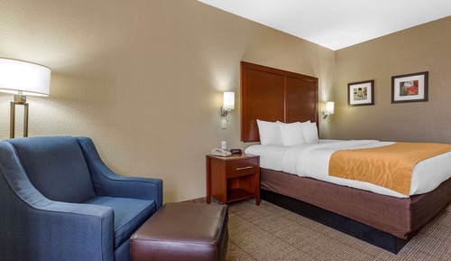 Standard Room, 1 King Bed, Non Smoking