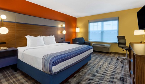 Room, 1 King Bed, Non Smoking