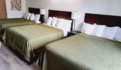 Basic Triple Room