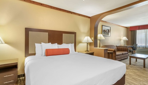 Standard Room, 1 King Bed, Non Smoking, Refrigerator & Microwave (with Sofabed;Oversized Room)
