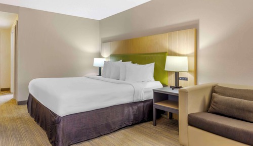 Room, 1 King Bed, Accessible, Non Smoking (Roll-in Shower)