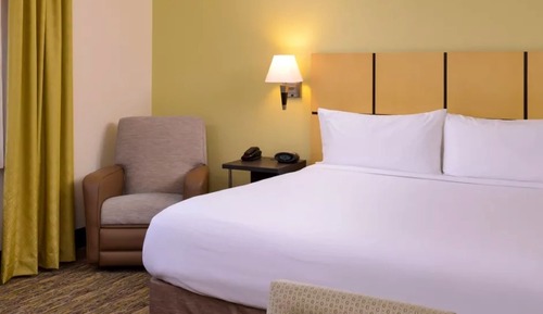 Studio Suite, 1 King Bed