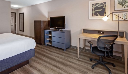 Room, 1 King Bed, Non Smoking