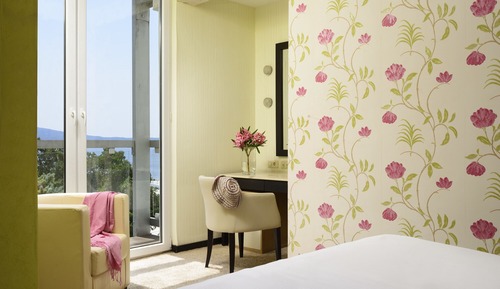 Junior Suite (Guest Room)