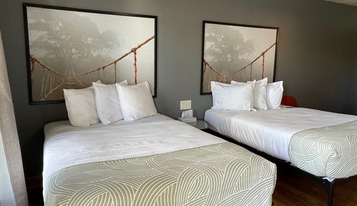 Basic Double Room, 2 Double Beds