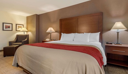 Standard Room, 1 King Bed, Non Smoking
