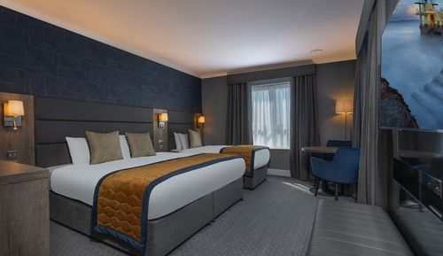 Superior Double or Twin Room