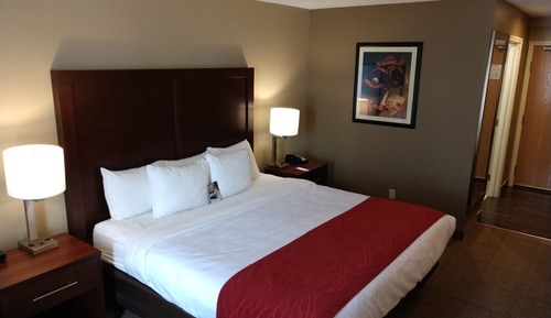 Standard Room, 1 King Bed, Non Smoking