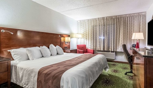 Standard Room, 1 King Bed, Non Smoking